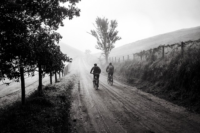 Alles wat je moet weten over fietsen: van soorten en geschiedenis tot onderhoud en veiligheid